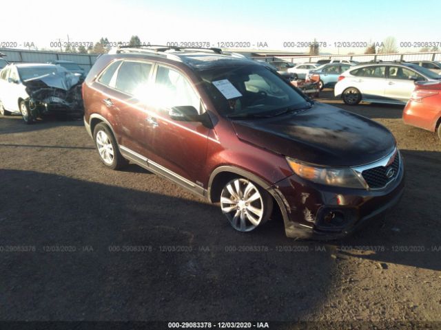 KIA SORENTO 2011 5xykuca18bg011556