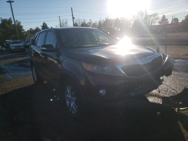 KIA SORENTO EX 2011 5xykuca18bg021696