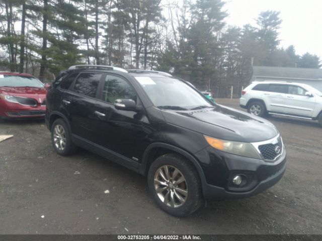 KIA SORENTO 2011 5xykuca18bg030978