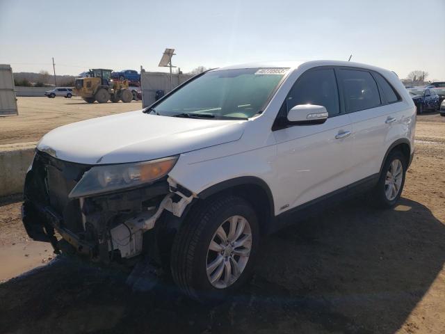 KIA SORENTO EX 2011 5xykuca19bg002901