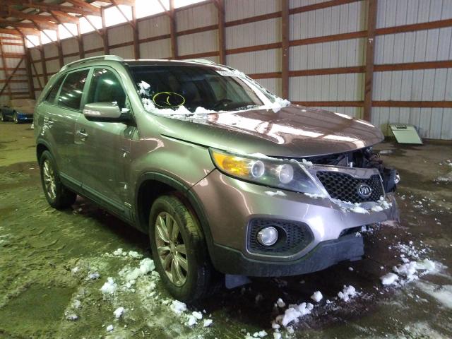 KIA SORENTO EX 2011 5xykuca19bg069336