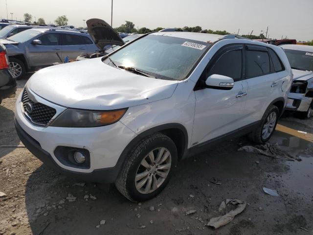 KIA SORENTO EX 2011 5xykuca19bg087514