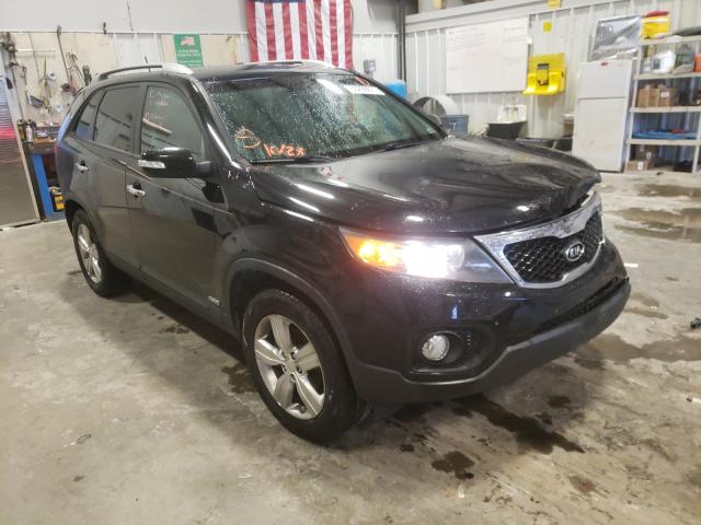 KIA SORENTO EX 2012 5xykuca60cg254503