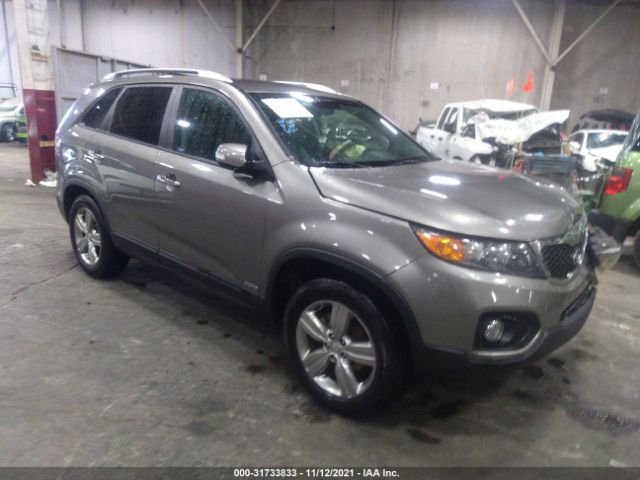 KIA SORENTO 2013 5xykuca61dg331221