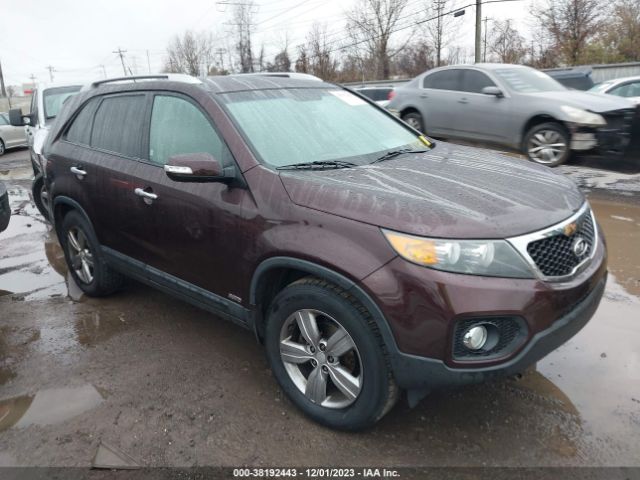 KIA SORENTO 2013 5xykuca61dg398546