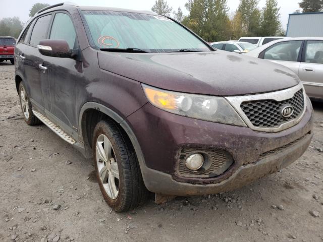 KIA SORENTO EX 2013 5xykuca62dg318509