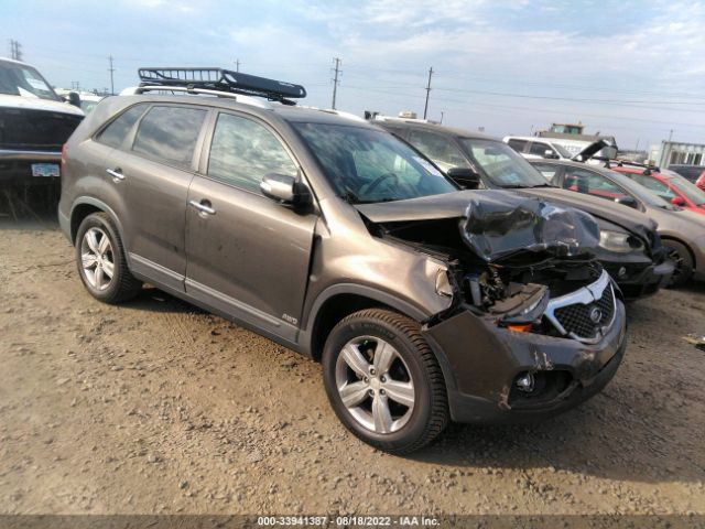 KIA SORENTO 2013 5xykuca63dg356671