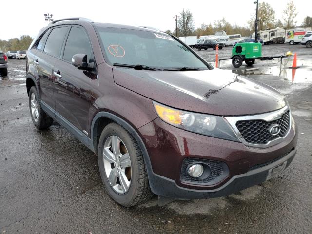 KIA SORENTO EX 2012 5xykuca65cg276075