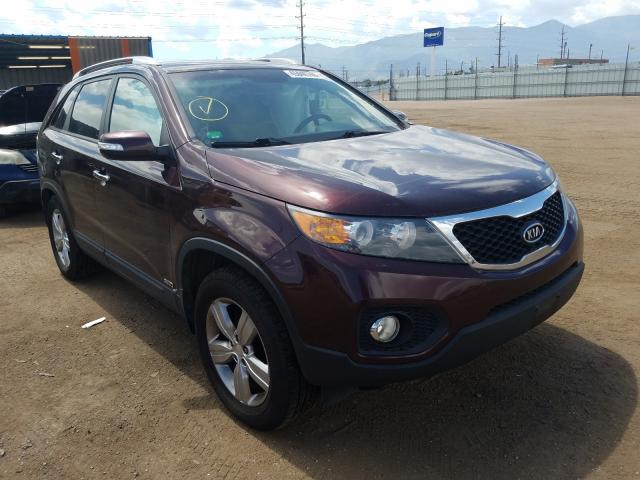 KIA SORENTO EX 2012 5xykuca66cg299428