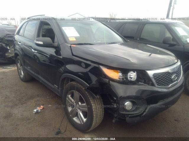 KIA SORENTO 2012 5xykuca68cg208613