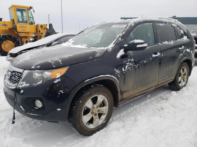 KIA SORENTO EX 2013 5xykuca69dg357016