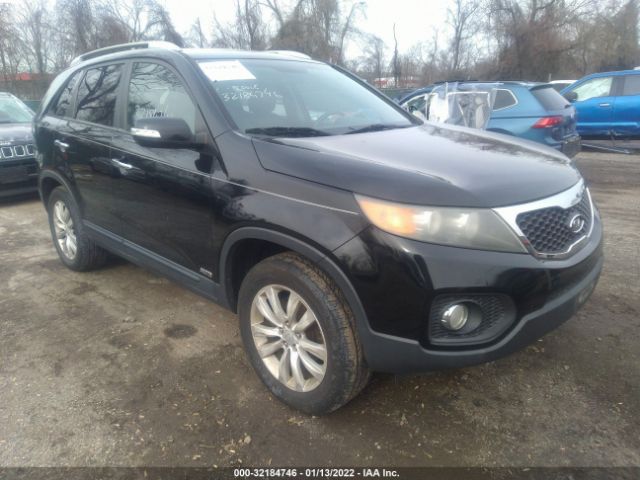 KIA SORENTO 2011 5xykuda10bg013548