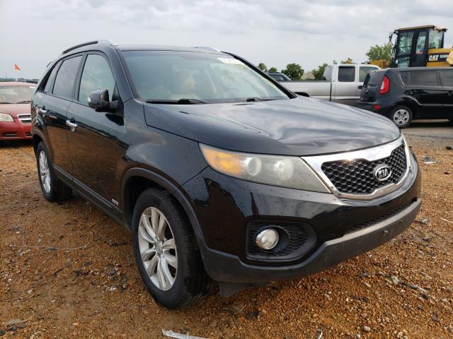 KIA SORENTO EX 2011 5xykuda13bg003256