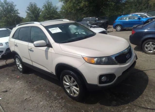 KIA SORENTO 2011 5xykuda13bg063599