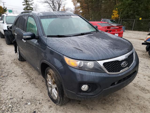 KIA SORENTO EX 2011 5xykuda13bg089426