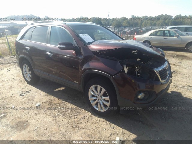 KIA SORENTO 2011 5xykuda13bg125597