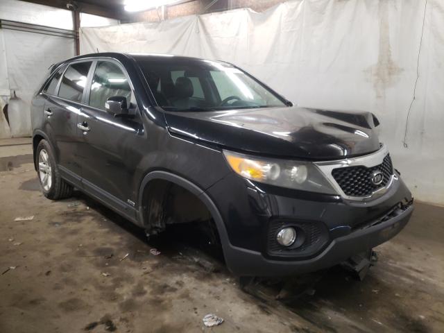 KIA SORENTO EX 2011 5xykuda14bg028389