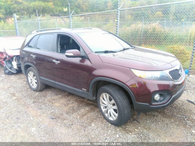 KIA SORENTO 2011 5xykuda14bg031132