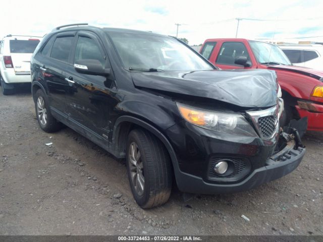 KIA SORENTO 2011 5xykuda14bg034175