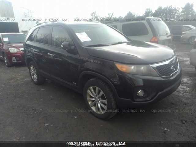 KIA SORENTO 2011 5xykuda15bg034430