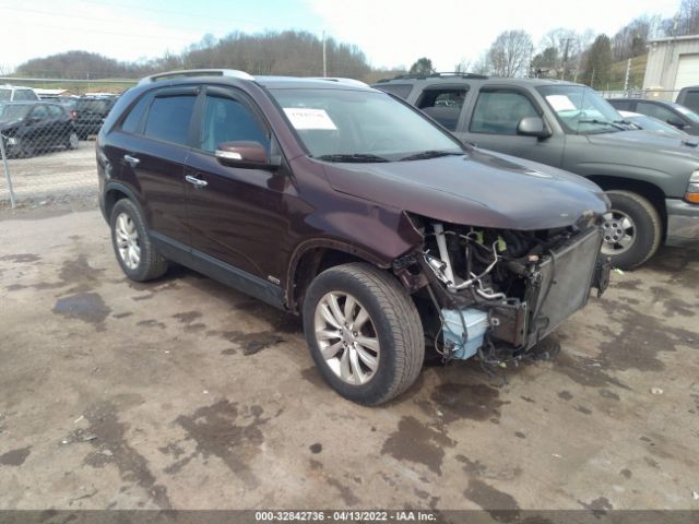 KIA SORENTO 2011 5xykuda16bg019631