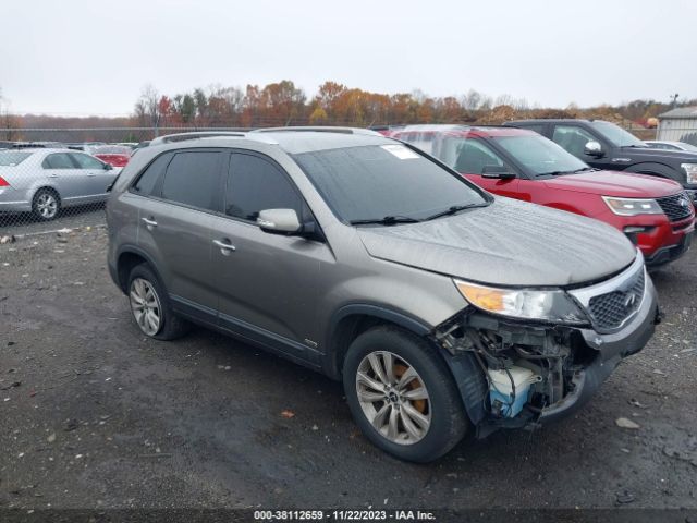 KIA SORENTO 2011 5xykuda17bg030542