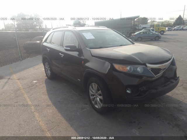 KIA SORENTO 2011 5xykuda17bg142810