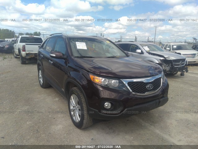 KIA SORENTO 2011 5xykuda18bg151936