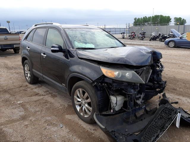 KIA SORENTO EX 2011 5xykuda19bg056687