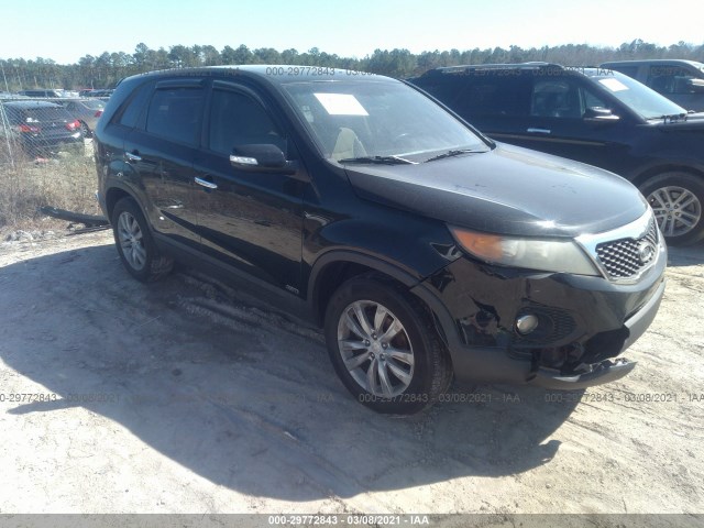 KIA SORENTO 2011 5xykuda20bg006009