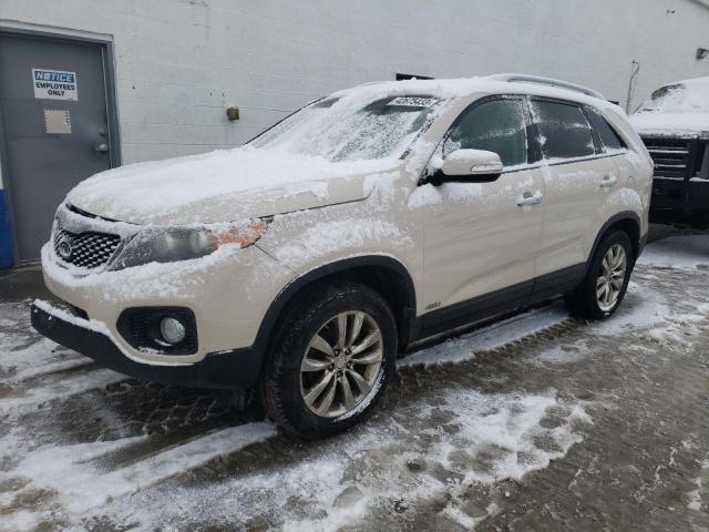 KIA SORENTO EX 2011 5xykuda20bg040855