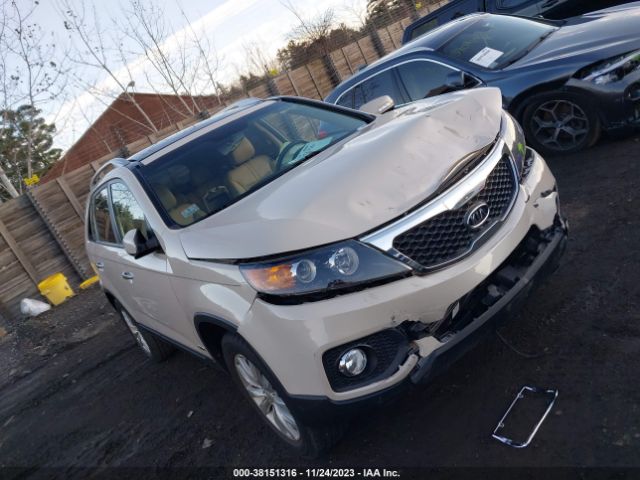 KIA SORENTO 2011 5xykuda21bg015012