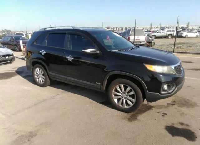 KIA SORENTO 2011 5xykuda21bg025426