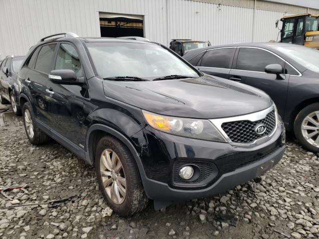 KIA SORENTO EX 2011 5xykuda21bg032313