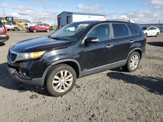 KIA SORENTO EX 2011 5xykuda21bg055929