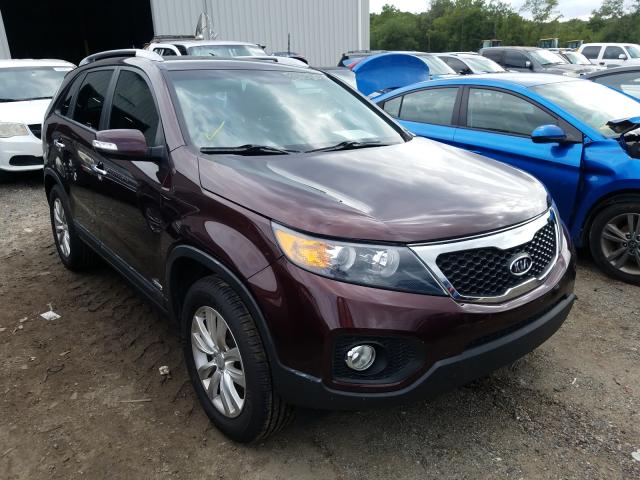 KIA SORENTO EX 2011 5xykuda21bg059513