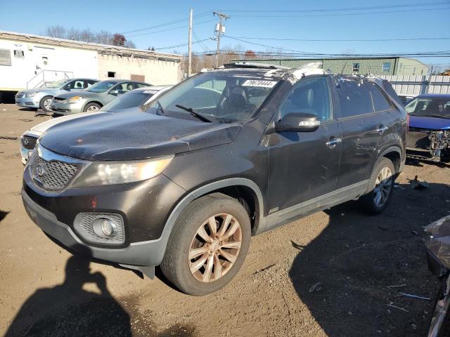 KIA SORENTO EX 2011 5xykuda21bg141015