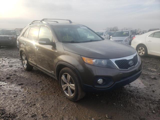 KIA SORENTO EX 2013 5xykuda21dg328273