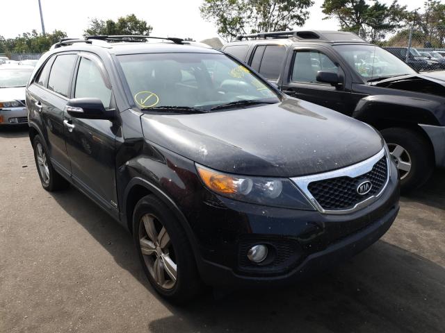 KIA SORENTO EX 2013 5xykuda21dg348619