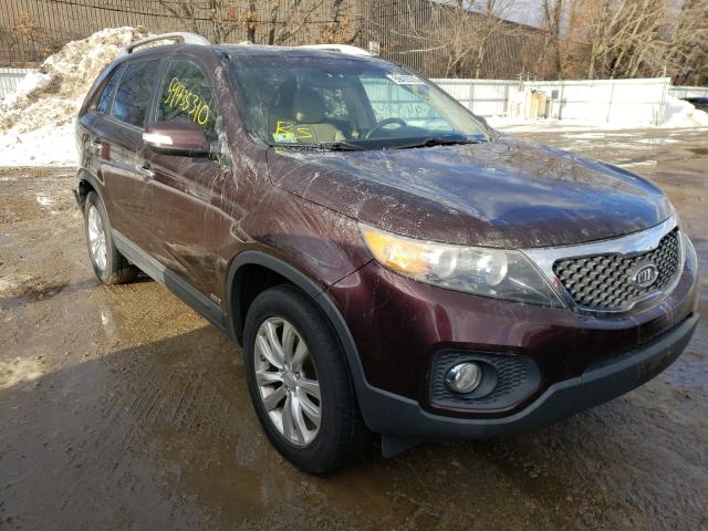 KIA SORENTO EX 2011 5xykuda22bg002348