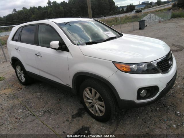 KIA SORENTO 2011 5xykuda22bg006111