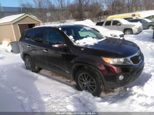 KIA SORENTO 2011 5xykuda22bg025922