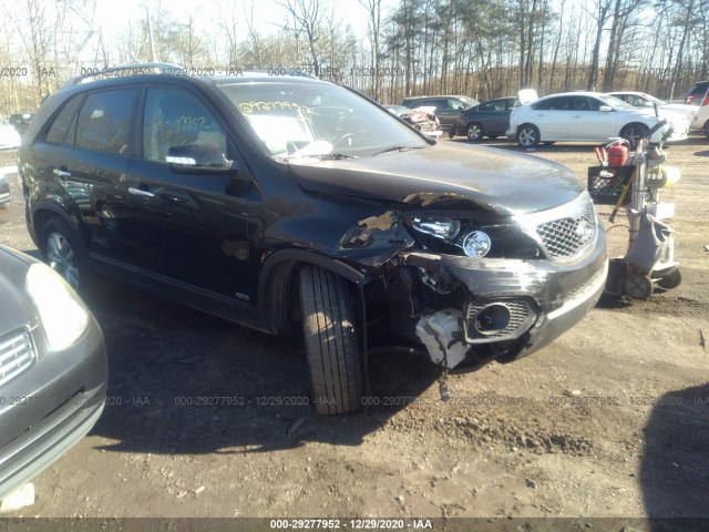 KIA SORENTO 2011 5xykuda22bg060279