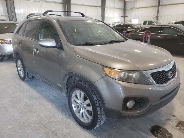 KIA SORENTO EX 2011 5xykuda22bg089541