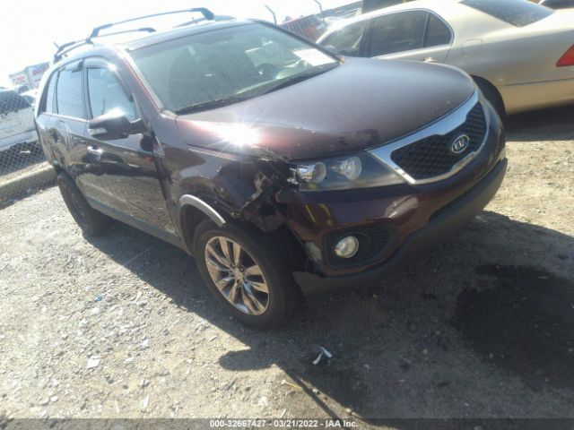 KIA SORENTO 2011 5xykuda22bg090995