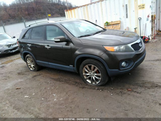 KIA SORENTO 2011 5xykuda22bg152024