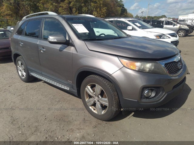 KIA SORENTO 2012 5xykuda22cg236507