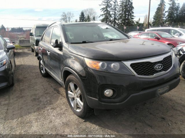 KIA SORENTO 2012 5xykuda22cg284802