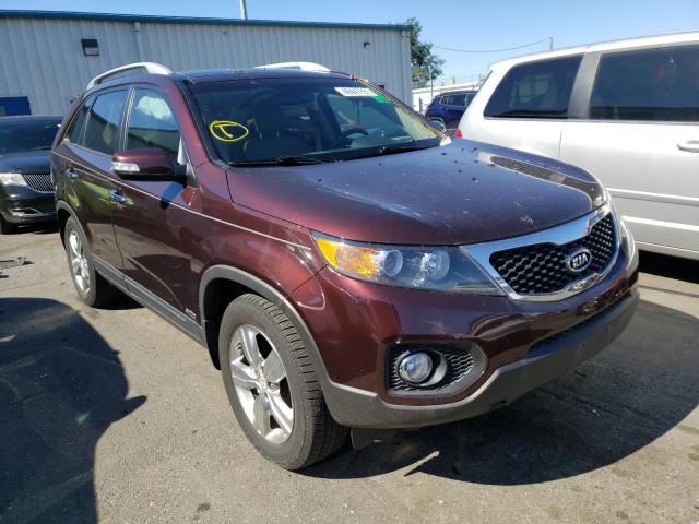 KIA SORENTO EX 2013 5xykuda22dg318187