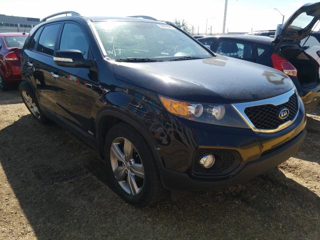 KIA SORENTO EX 2013 5xykuda22dg358964